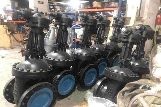 住宅用ソリューション Globe Steel Valve 商業用
