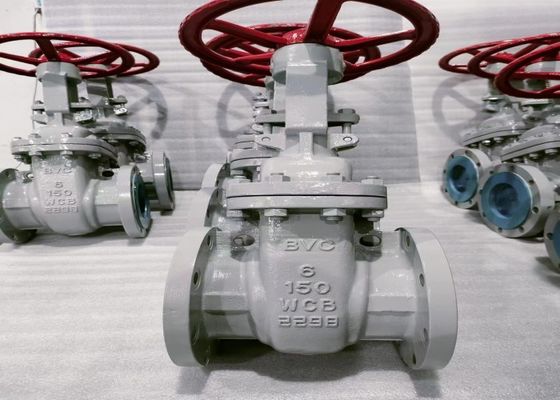 1/2 インチボットボットバルブ 高成長市場向けOEMサービス