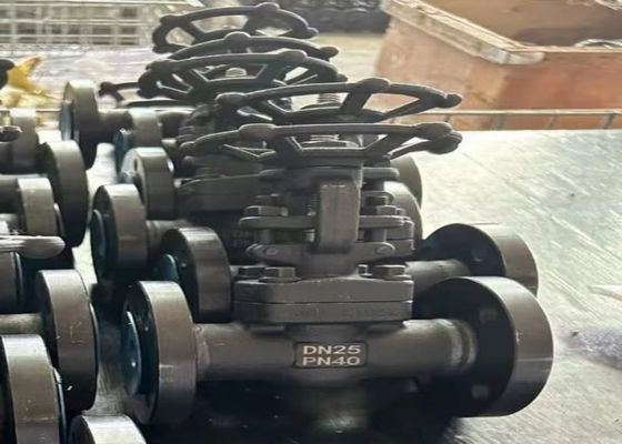 1/2 インチ 鋼閥 ボルトボットボディスタイルとODMカスタマイズされたサポート