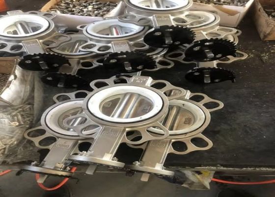 温度制御用水力システム用のボトルボットと単/二重クイーン付きのバタフライバル