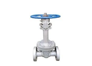 手動の単刀本型ステンレススチールバタフライバル DN10-DN50