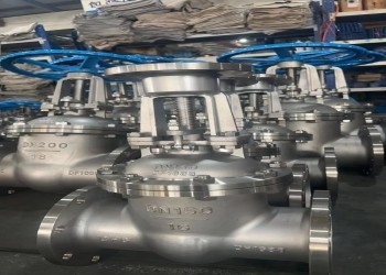DN10-DN50 手動衛生用バタフライバルボルトボット