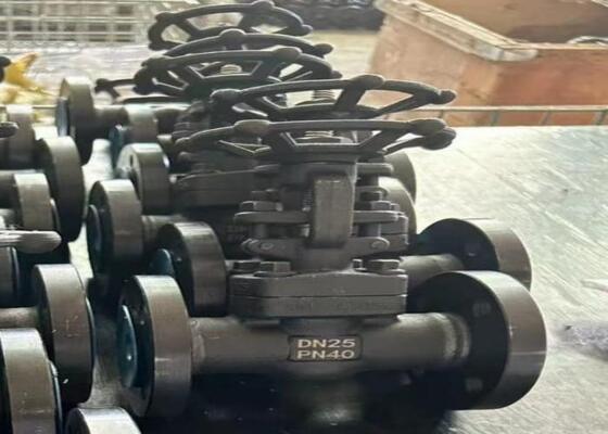 ボルト締めボンネット付き手動鋼製ゲートバルブ DN10-DN50 150lb-1500lb 高耐食性