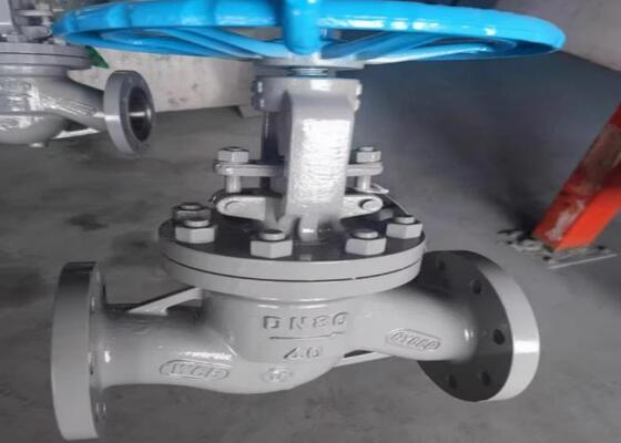 OEM 鋼閥 DN10-DN50 手動操作とボルト付きキャプネット